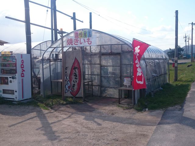 浜根農園