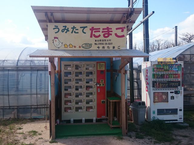 浜根農園