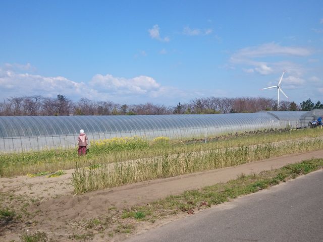 浜根農園