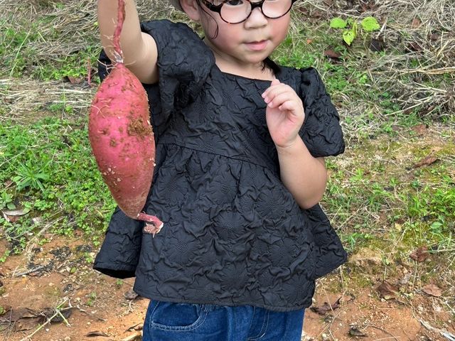 ぶぜんフルーツランド