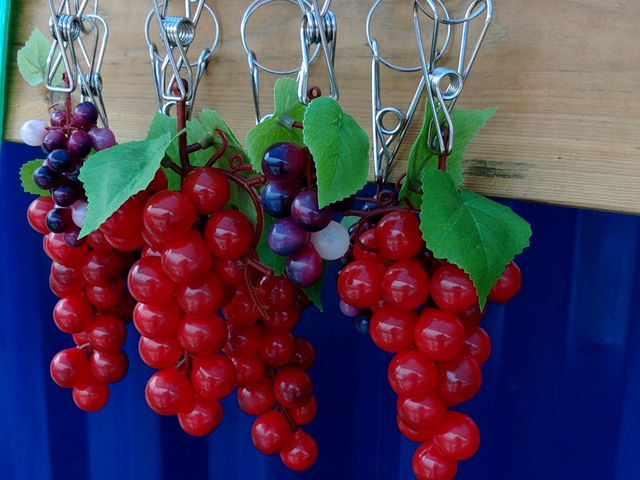 安心院はぶどうの産地_王さまのぶどう旅行村農園