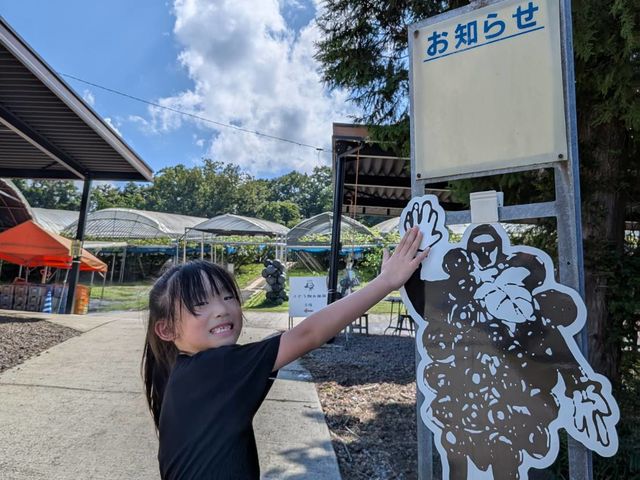 ゴロゴロぶどうマンを探してみてね♪_王さまのぶどう旅行村農園