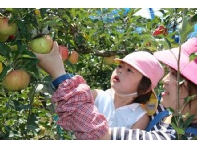 多田りんご園の写真1