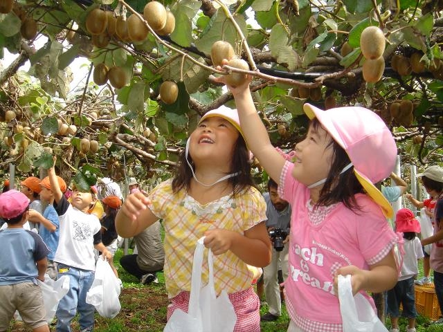 関之尾緑の村観光農園の写真1