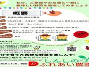ふれあい農園の写真3