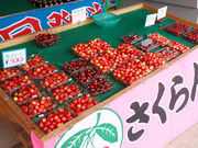 峠のふもと紅果園の写真4