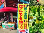 妹尾観光農園の写真4