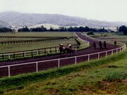 様似町軽種馬協同育成センターの写真1