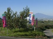 黒石観光りんご園の写真3