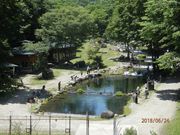 新東北笹谷渓流つりの写真2