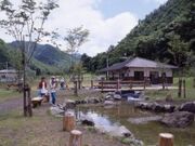 びんだれ園の写真1