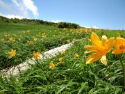 月山高原牧場の写真2