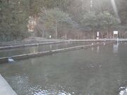 大川戸つり堀の写真1