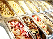 服部牧場の写真4