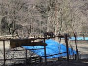 カントリーロッヂ森の四季の写真1