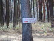 カントリーロッヂ森の四季の写真2