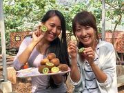 キウイフルーツカントリーJapanの写真4
