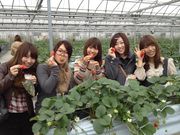 ジョイフルファーム 鵜の池の写真4