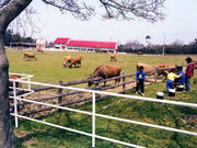 共進ファミリー牧場の写真1