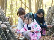 しい茸ランドかさやの写真2