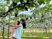 SMILE-LABO HIROSHIMA(旧:果実の森公園)の写真4