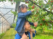 SMILE-LABO HIROSHIMA(旧:果実の森公園)の写真3