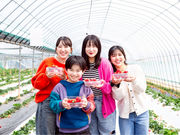 ぶぜんフルーツランドの写真3