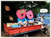 まるじゅんリンゴ園の写真4