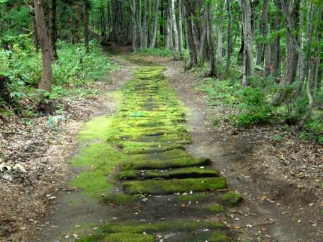 黒沢峠敷石道の写真1