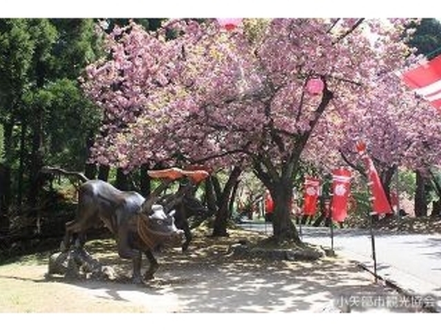 倶利伽羅県定公園_倶利伽羅ふるさと歩道