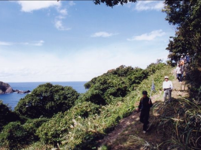 岬自然歩道
