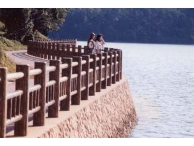 潮騒の道の写真1