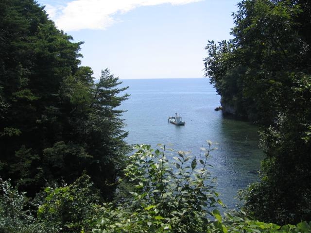 遠島山公園・潮騒の小径