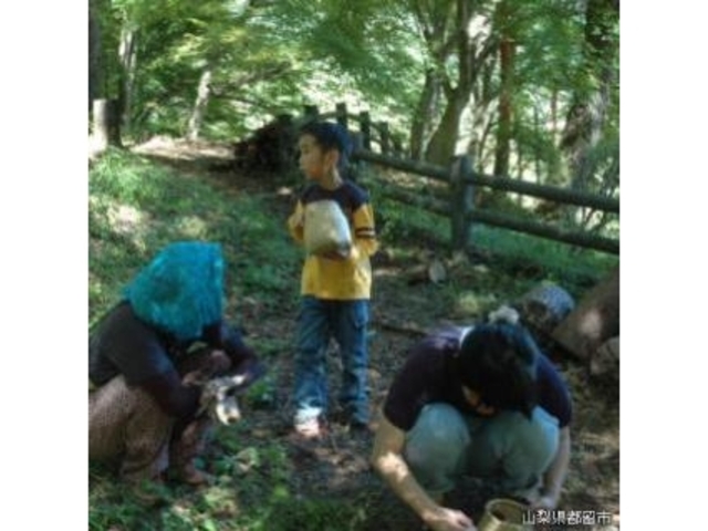 都留いきものふれあいの里の写真1