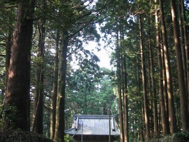 東海自然歩道の写真1
