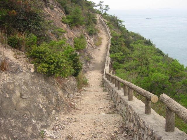 大島自然研究路の写真1