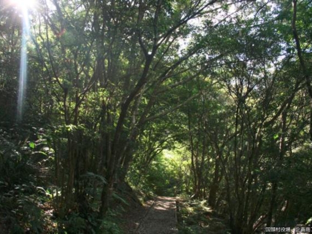 遊歩道_比地大滝遊歩道