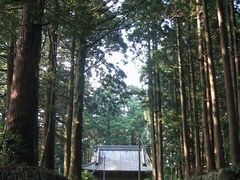 東海自然歩道の写真1