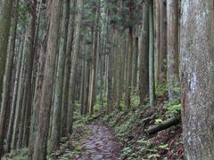 東海自然歩道の写真1