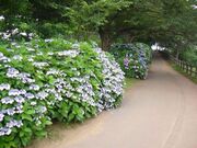 砂沼遊歩道の写真1