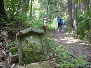 越知山行者道(登山道)の写真1