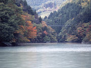 井川湖畔自然歩道の写真1