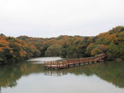 千鳥ケ谷池の写真1