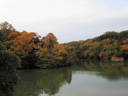 千鳥ケ谷池の写真2