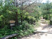 世田山遊歩道の写真2