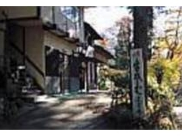 緑豊かな四万の林に囲まれているお店_なが井