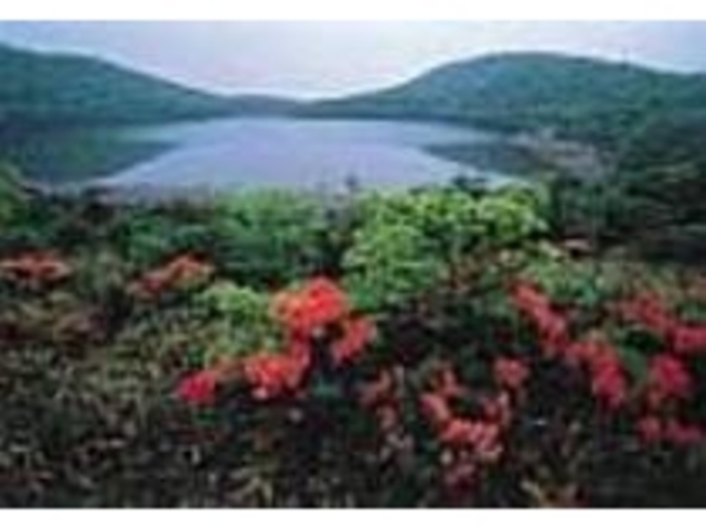 6月の小沼はレンゲツツジが満開となる_大沼・小沼