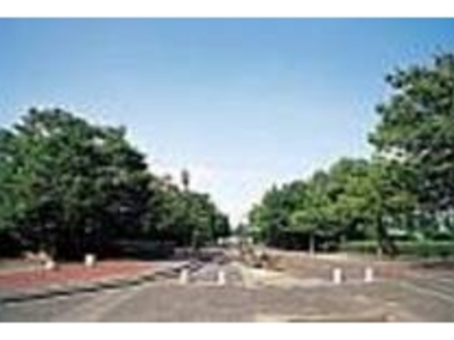 サイクリングにはもってこいの公園_ダノン城沼アリーナ