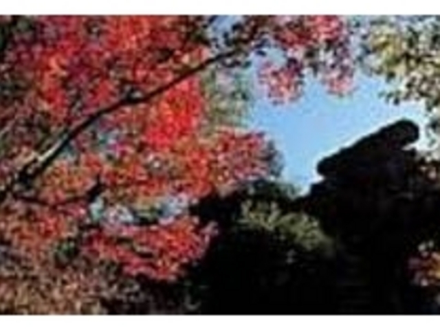 秋の妙義山は奇岩のシルエットが魅力的_妙義紅葉ライン