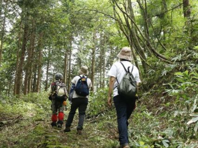 歴史の道100選「宮津街道大江山普甲峠越え」_宮津街道普甲峠越